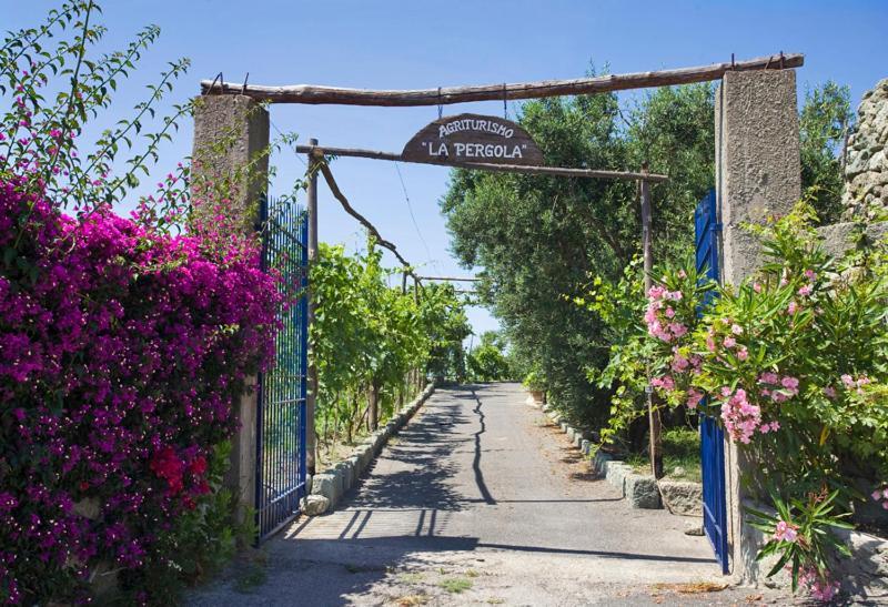 مزرعة للإقامة Agriturismo La Pergola